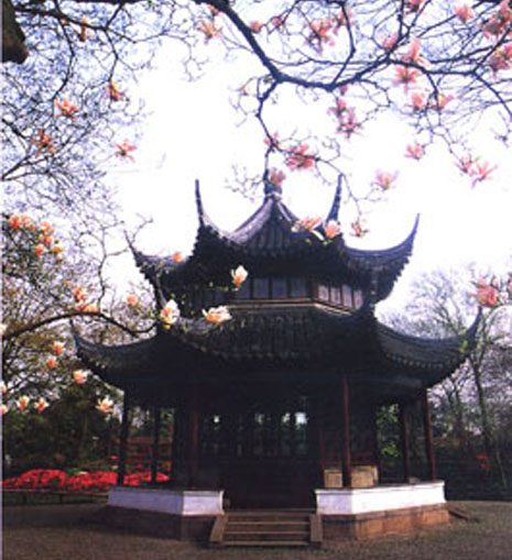 拙政园天下园林之母,苏州园林拙政园攻略