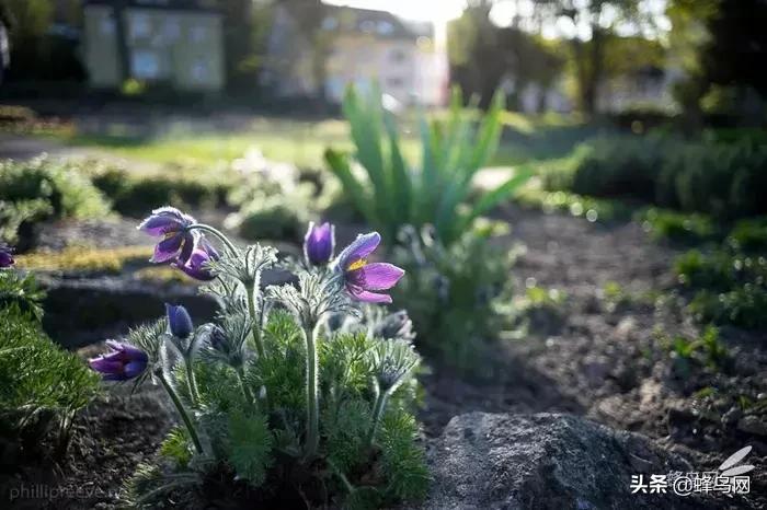 那些惊艳众人的封神镜头,小众广角镜头排行榜