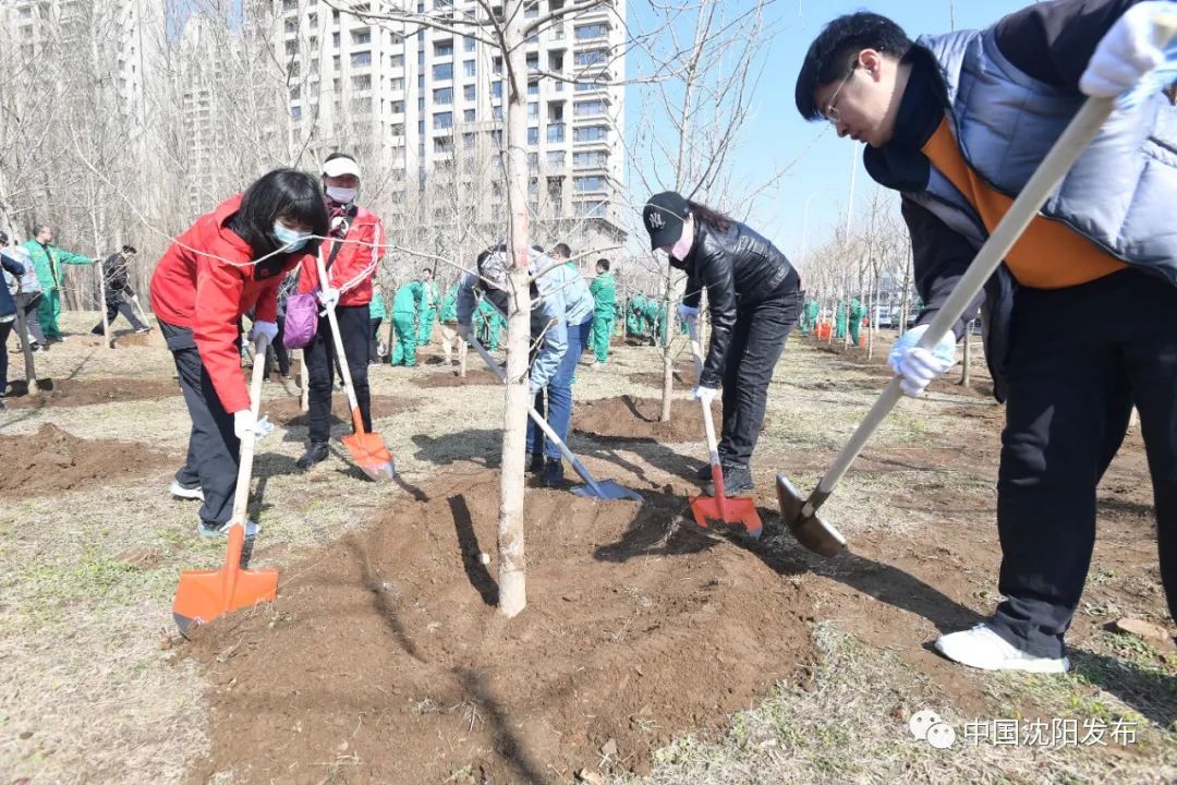 带你去美颜,明天一起去大理