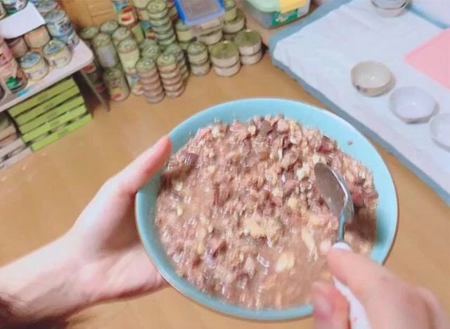 猫咪得了猫癣怎么治最有效,猫咪得了猫癣怎么治疗好得快一些