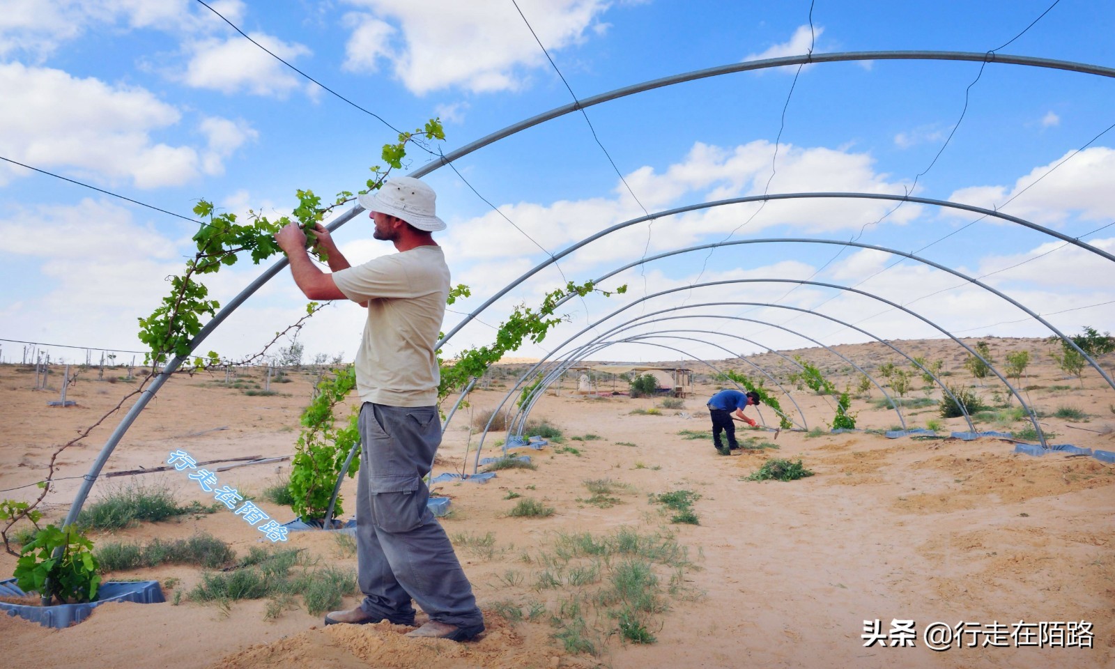 中东最富裕的城市,亚洲生活成本最低城市