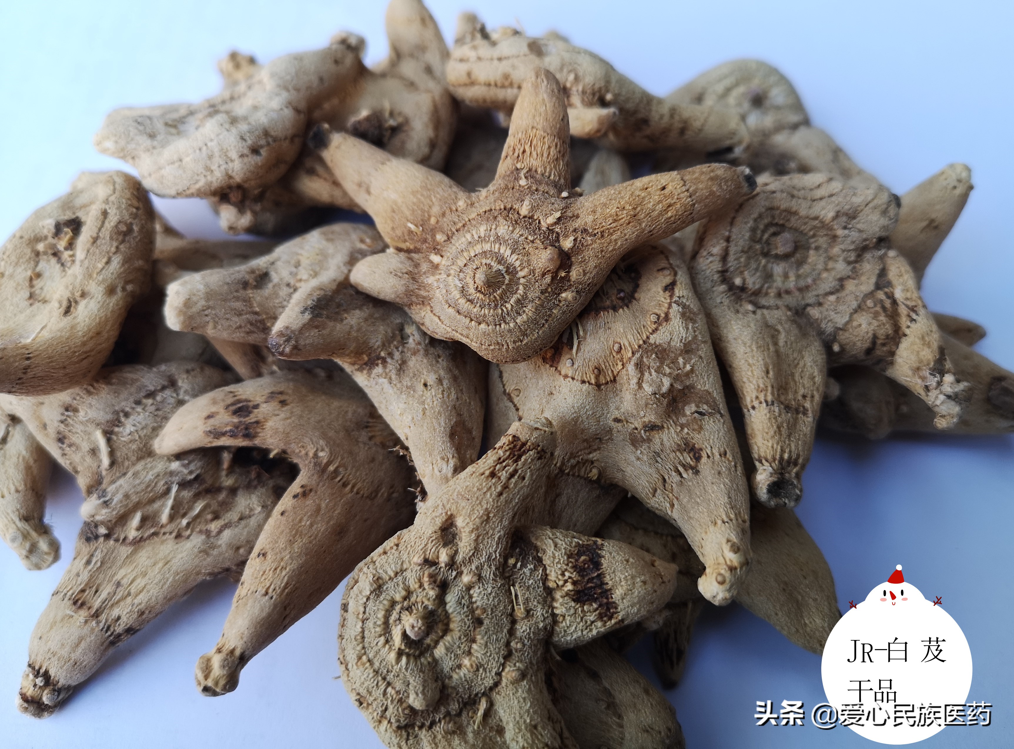 新鲜白芨中药的美容作用和功效,中药白芨的美容作用与功效图片