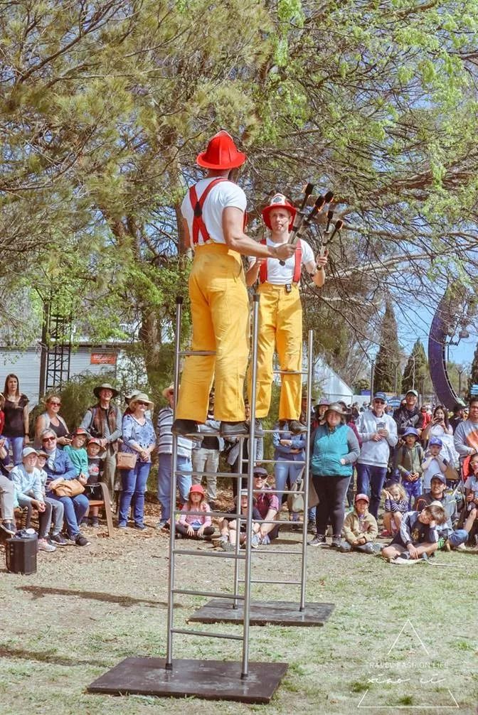 澳洲堪培拉景色,澳洲堪培拉动物园