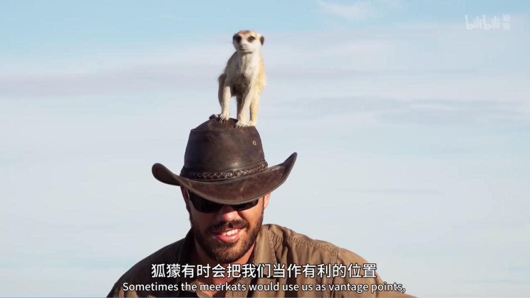 豆瓣评分9.5以上的国产电影有哪些,十部顶级神片推荐