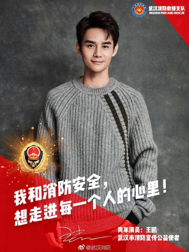 王凯主演的娘娘腔电视剧,王凯主演的古代剧大全