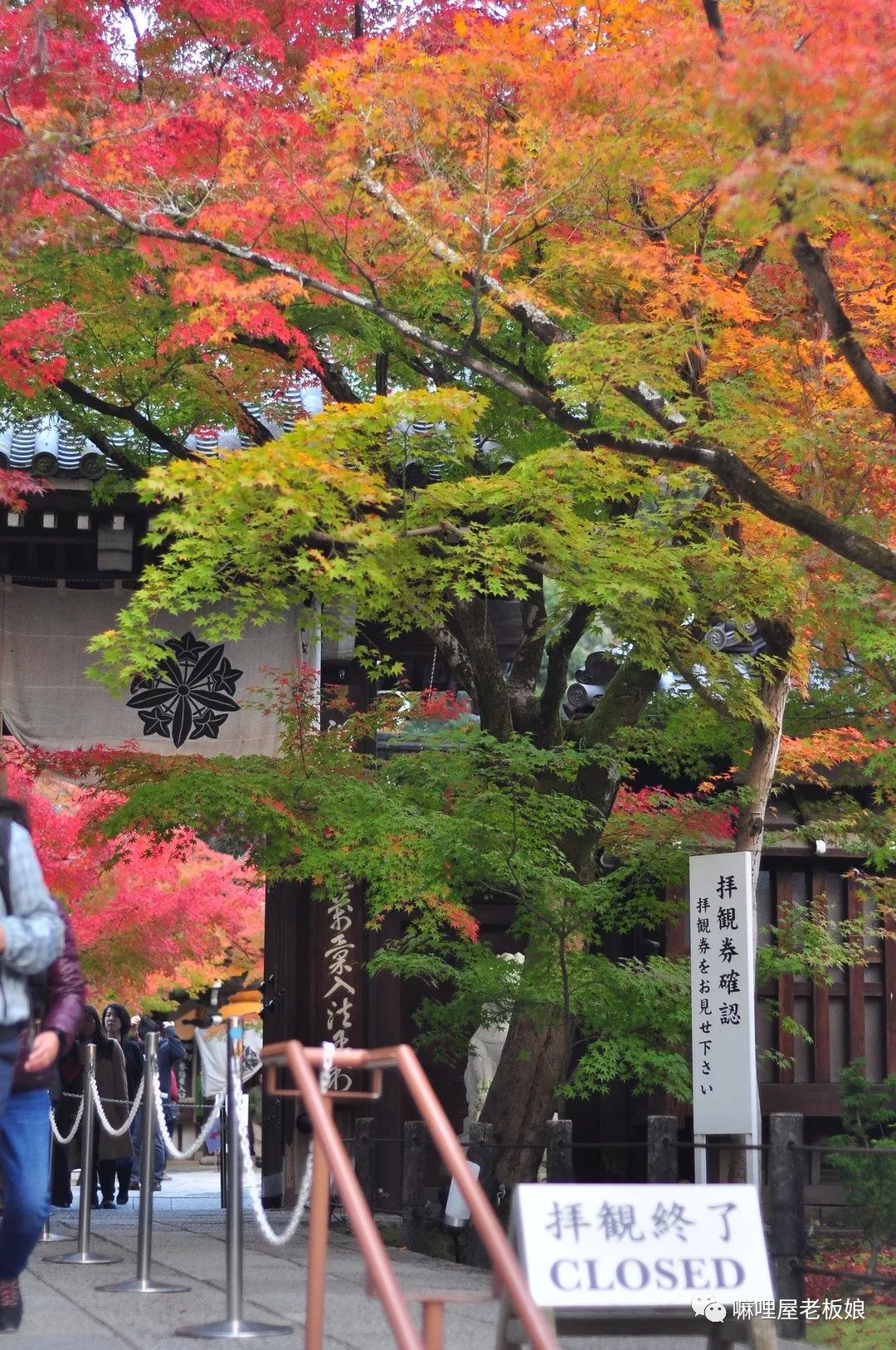 京都和大阪地理位置,京都奈良大阪位置