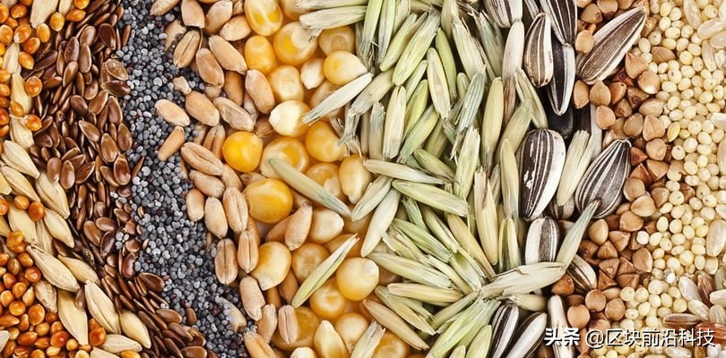 粮食中的“芯片”同样受限，被加价几十倍也不得不购买