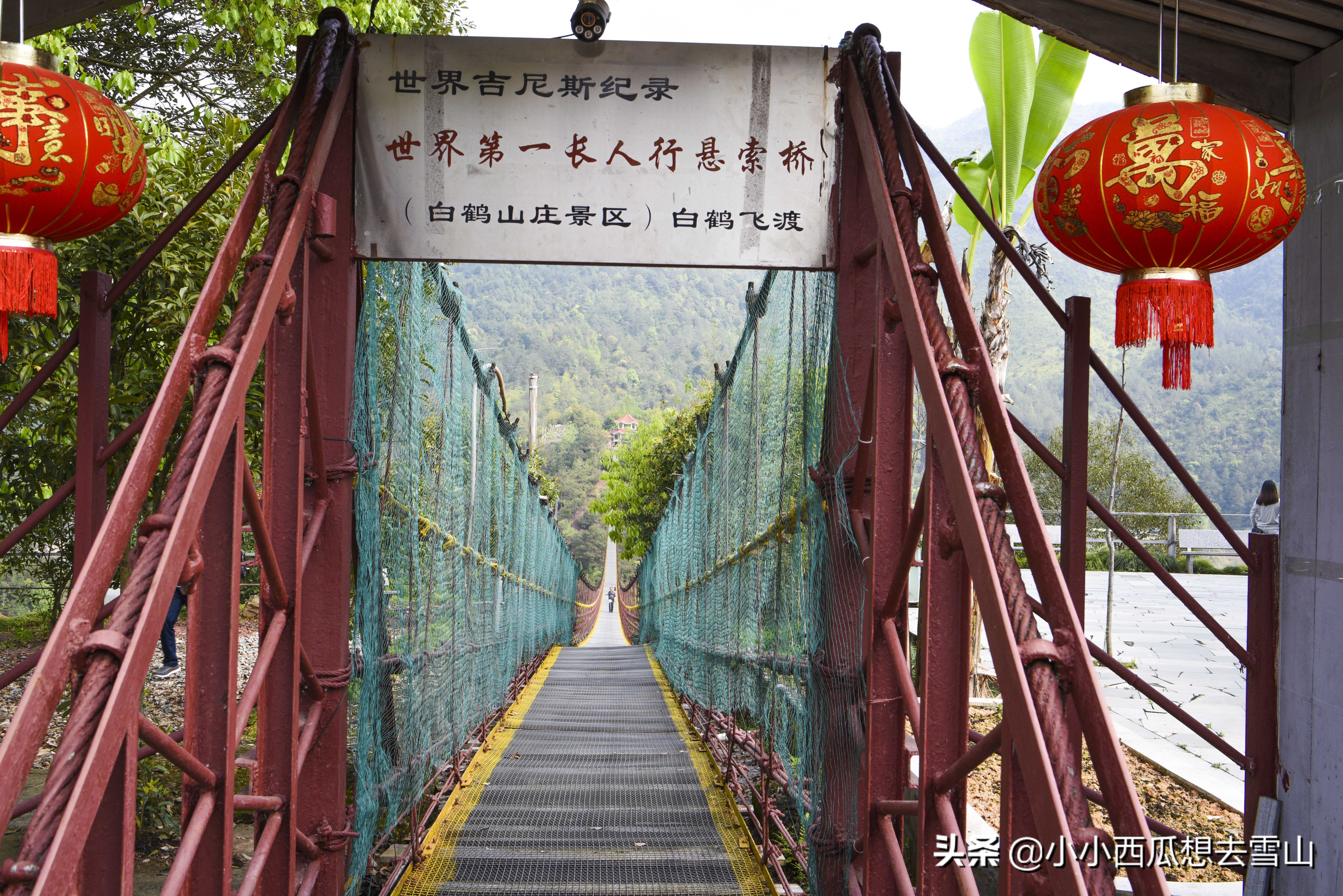 浙南小众宝藏旅行地,浙江温州灵溪铁索桥景点