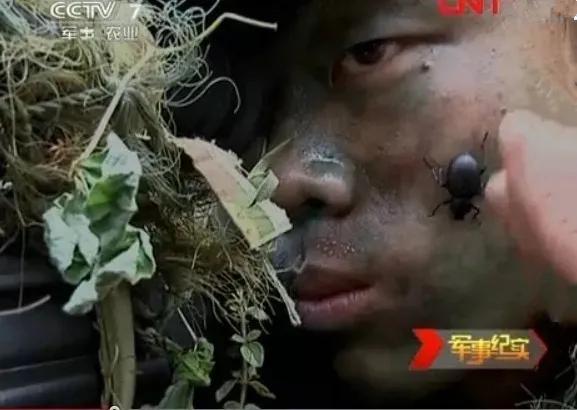 “攀”上更高峰——记全省“最美警务辅助人员”刘攀