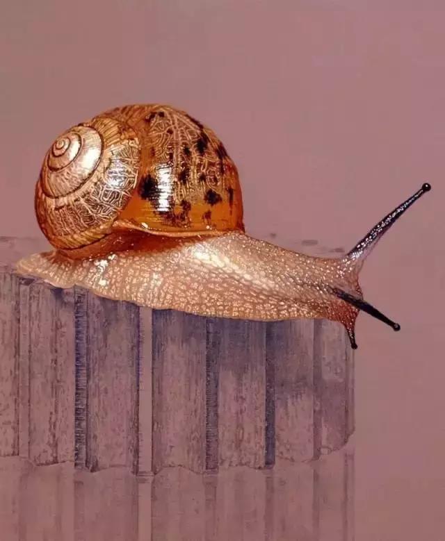 45岁韩国大叔,韩国45岁大叔