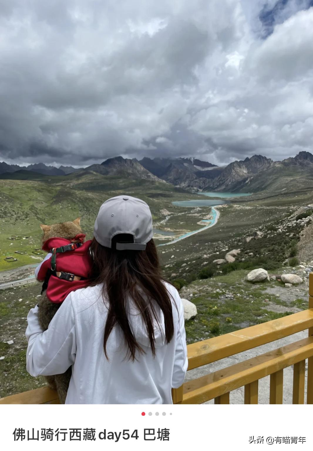 网红绑猫*藏西**骑行求关注,遭网友质疑回怼:比在家里刺激多了