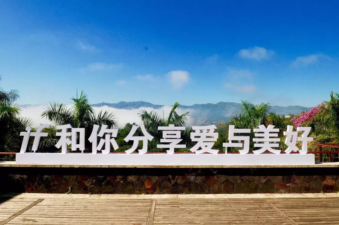 ifer来信|总被问if是什么?她是美好的存在