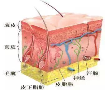 给干枯的身体洒水,给肌肤补充水分让皮肤放松