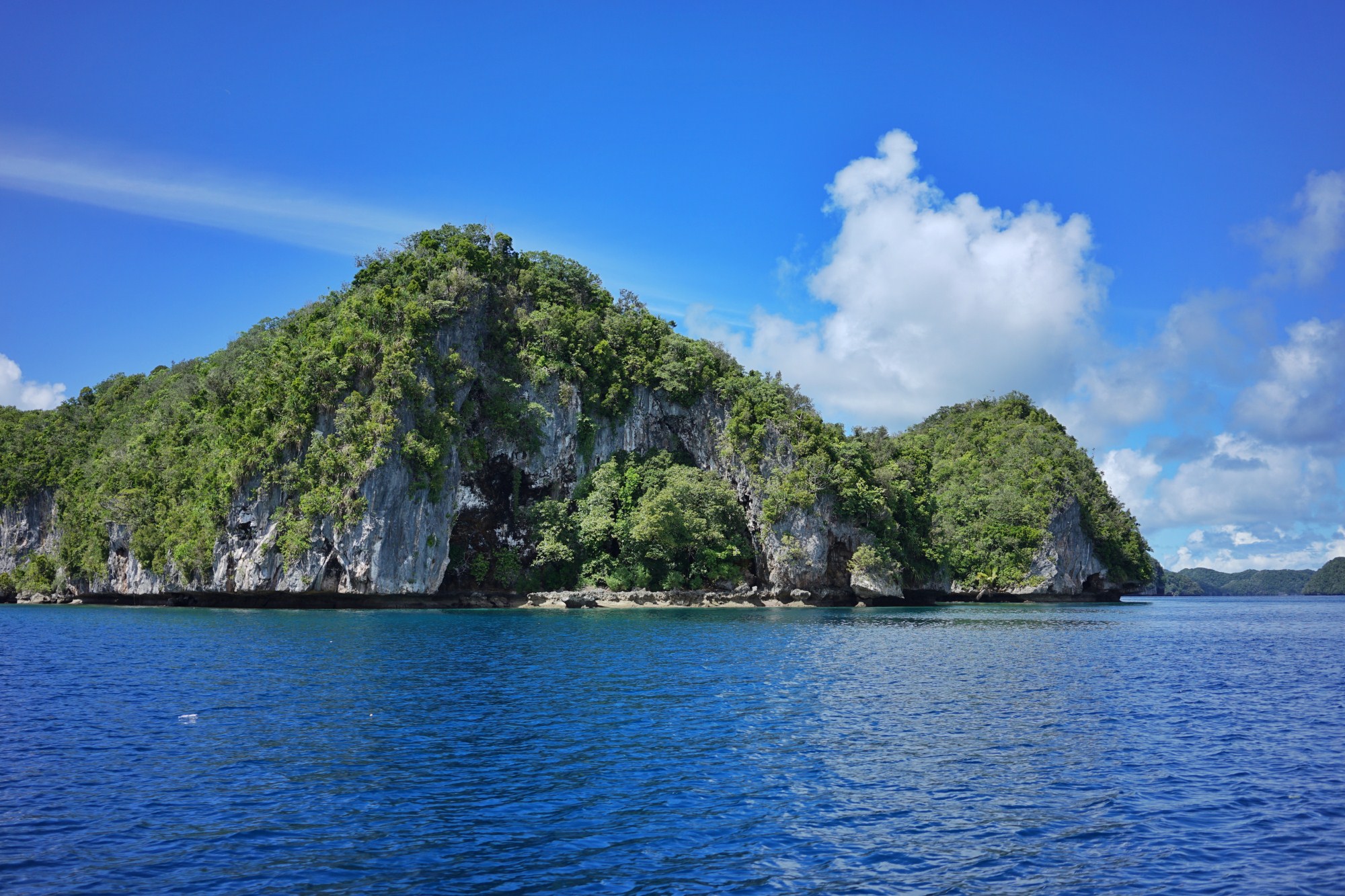 一定是特别的缘分——帕劳,再遇见「周若雪Patty」·上