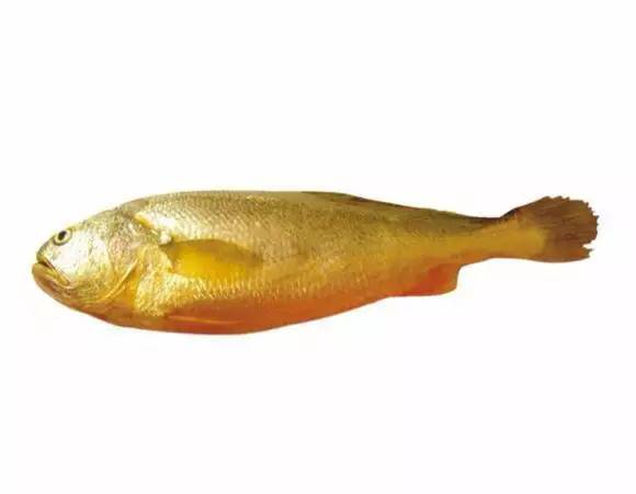 史上最全面的海鲜大咖,史上最全海鲜视频