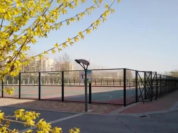 天津市普通高级中学,天津市瑞景中学前身天津师范学校