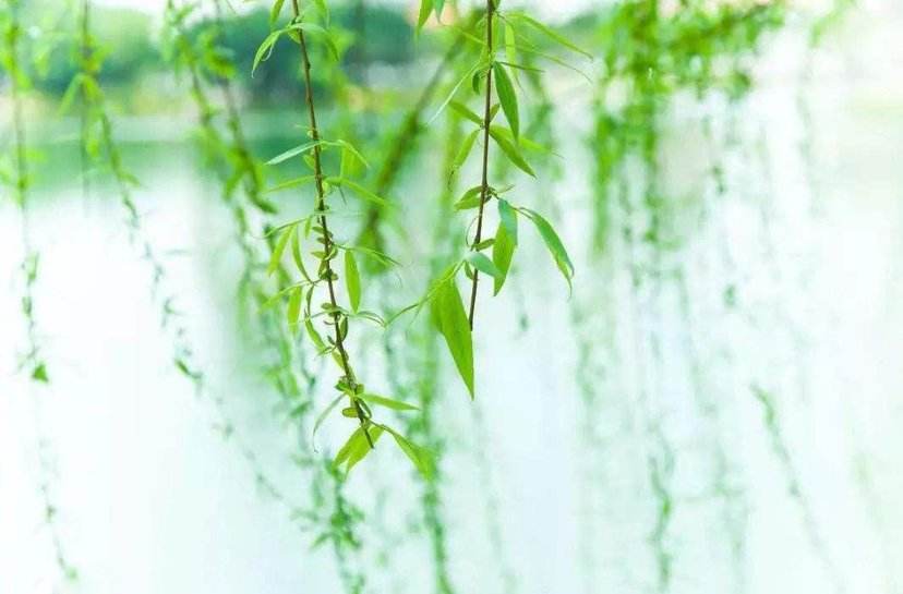 高考实用类文本阅读方法与例题,高考论述类文本阅读知识点总结