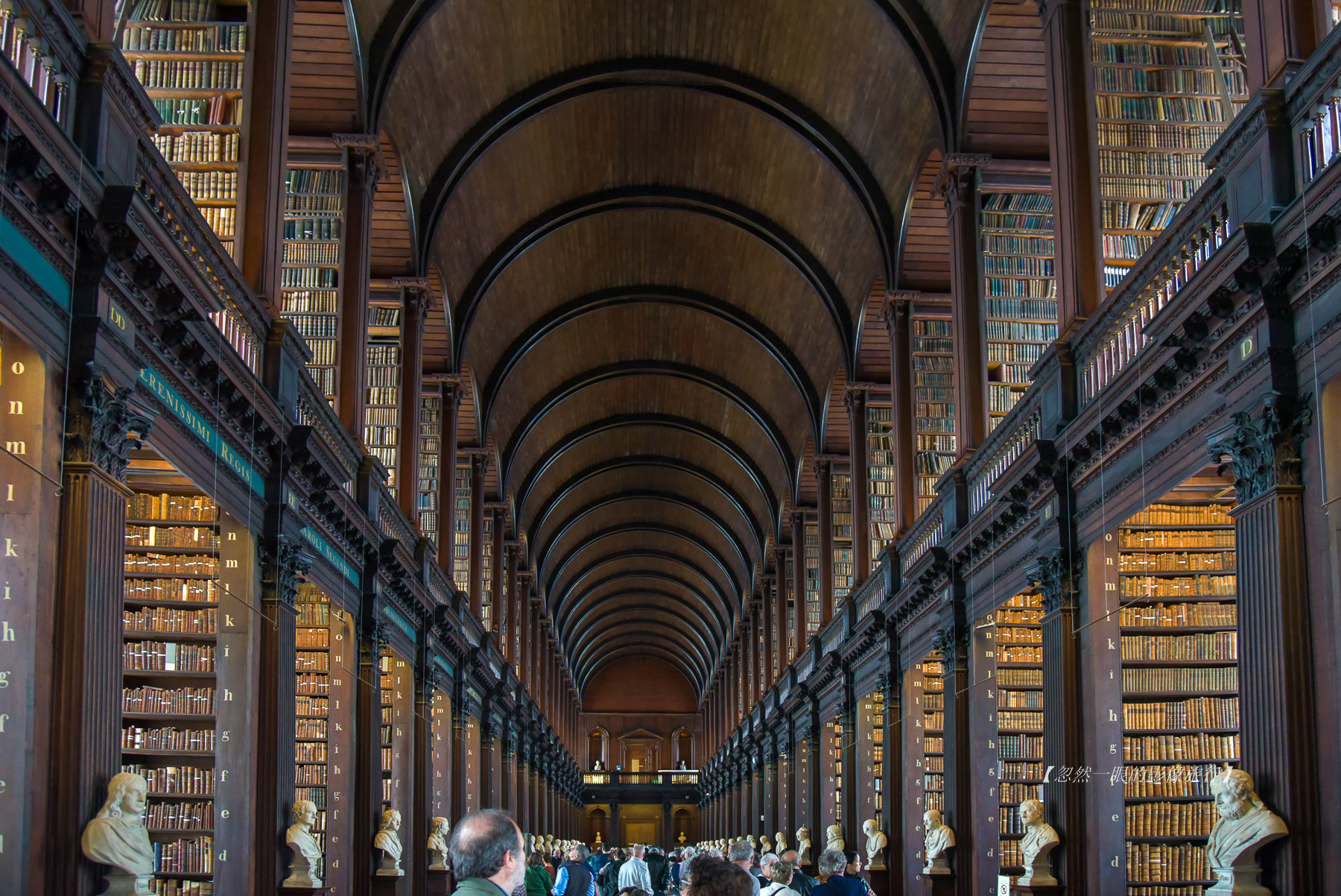 都柏林最高的树在哪里,都柏林地标大柱子