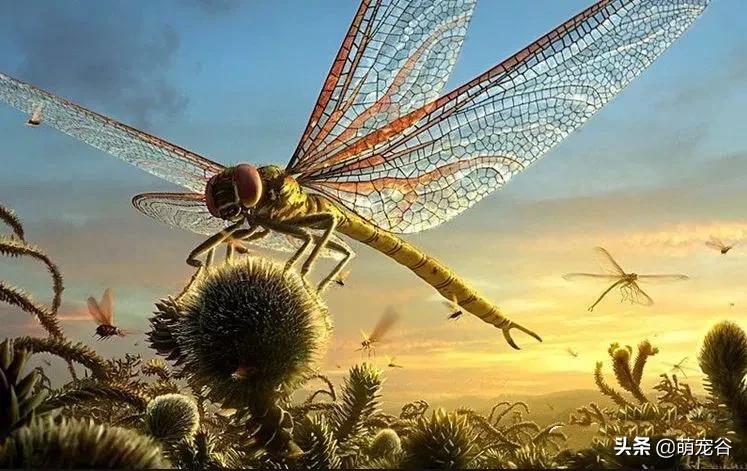 巨型蜈蚣长三米,世界上最长的3米巨型蜈蚣