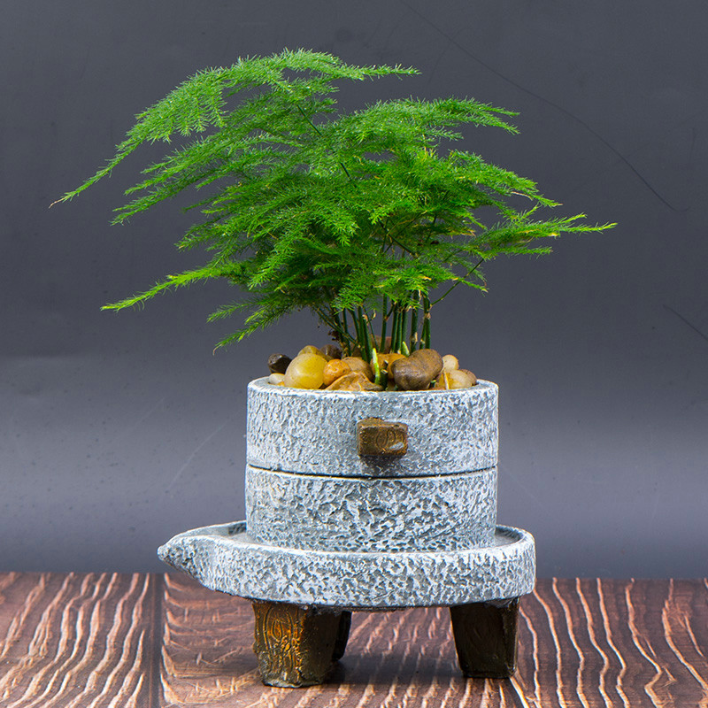 人养花花,人养花花养人哪些花养人