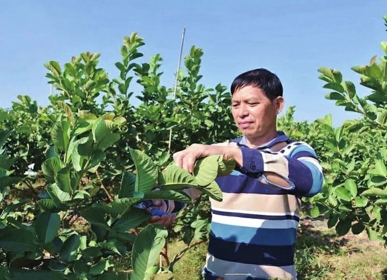 专属创业贷为退役军人带来及时雨,青岛退役军人创业贷