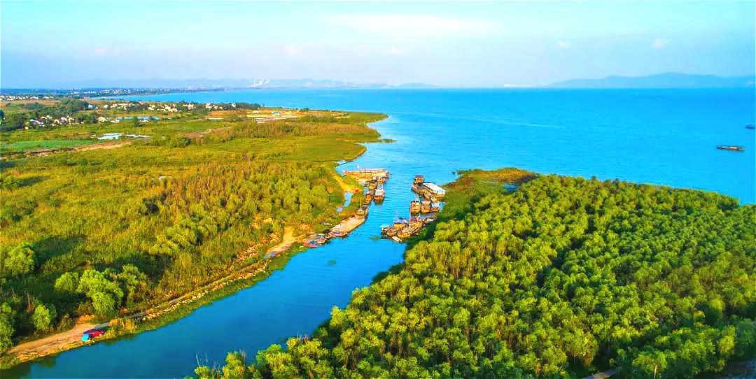 合肥被评为最宜居的城市,西安与合肥哪个宜居