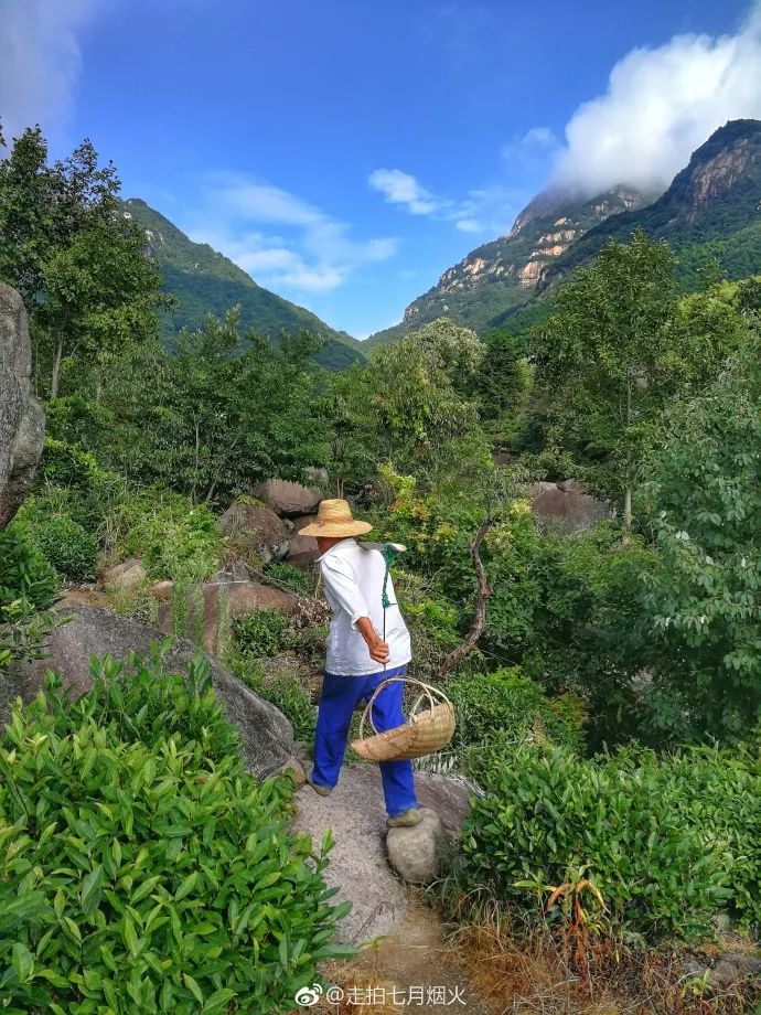 池州藏最新原生态避暑地，荷花海石海瀑布禅寺，不知名无门票却美