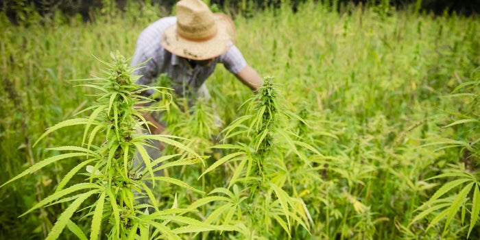 工业崛起赚钱攻略,工业园区怎么赚钱