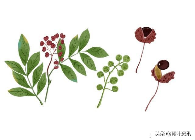 睡前泡脚100种方法,睡前泡脚的正确方法和步骤