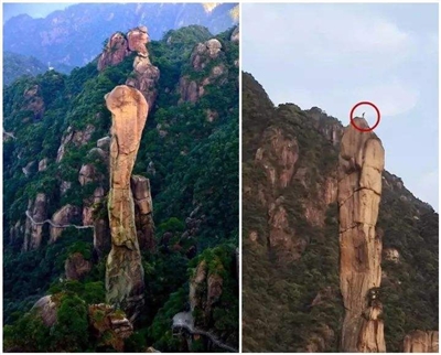 天价钉子,天价钢钉