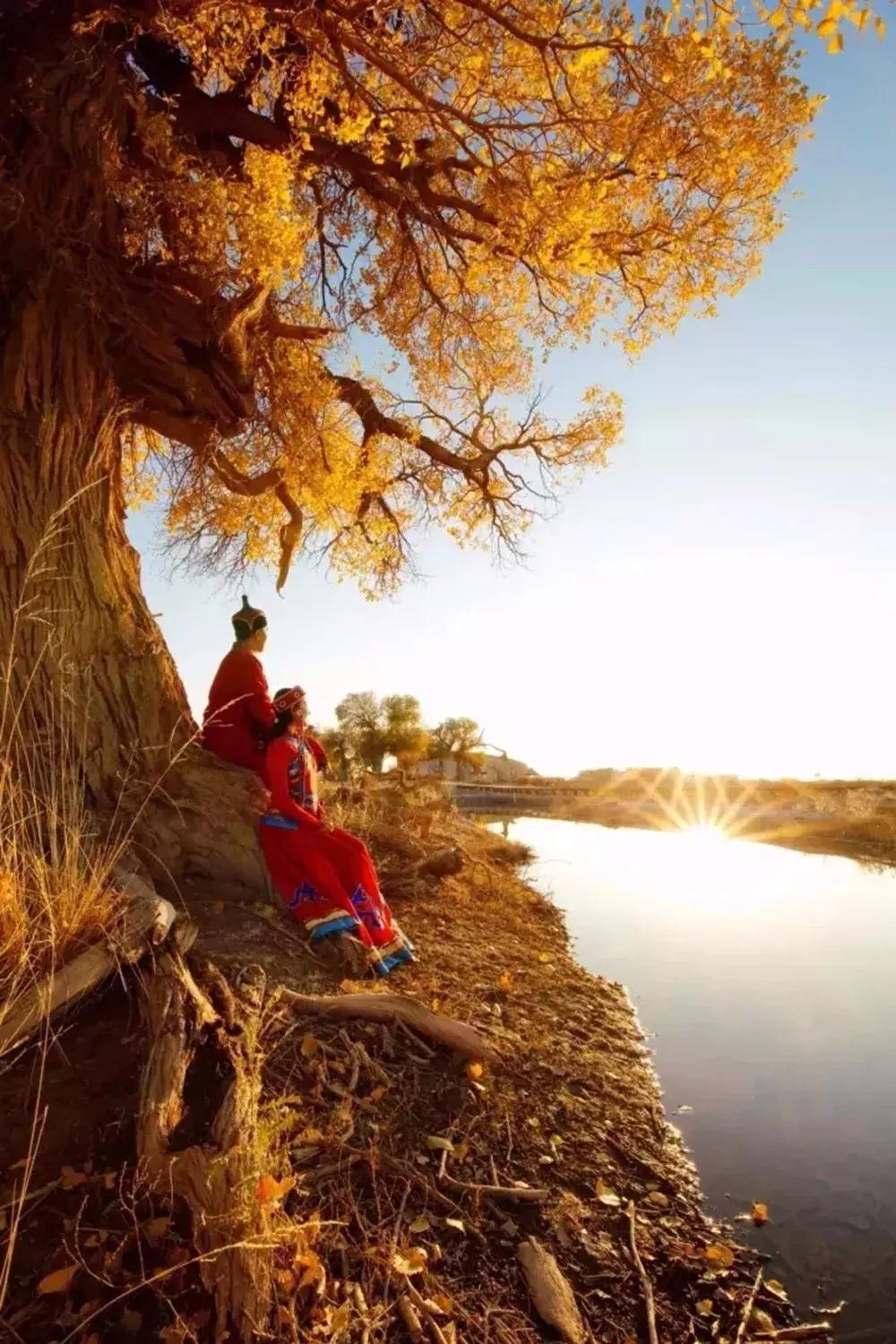 额济纳旅游自由行攻略,额济纳旗旅游最佳省钱攻略