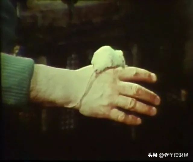 现代老鼠乌托邦25号实验,老鼠乌托邦实验说明了什么