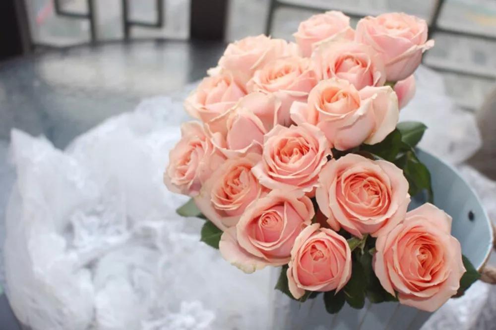 一篇文章带你认识三亚40种花,鲜花图鉴一次性认识30种玫瑰花