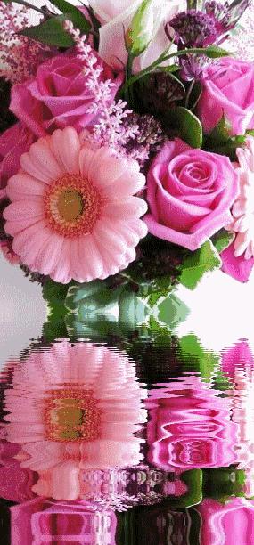 明星小主播杨梓序：《走进初夏》作者‖抒雅