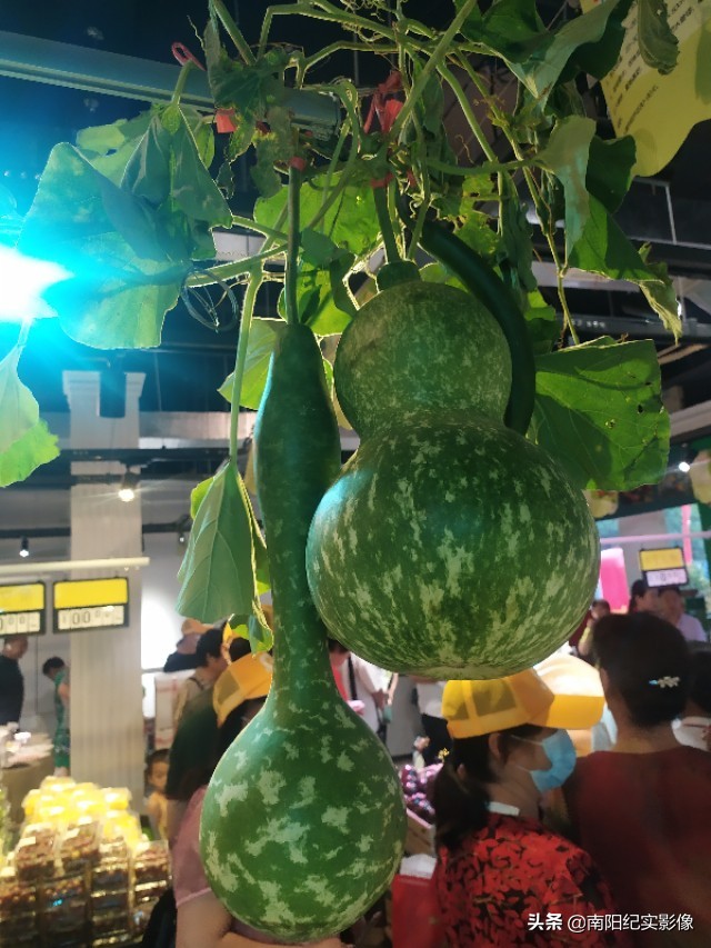 绿航超市,宜家生鲜超市开业