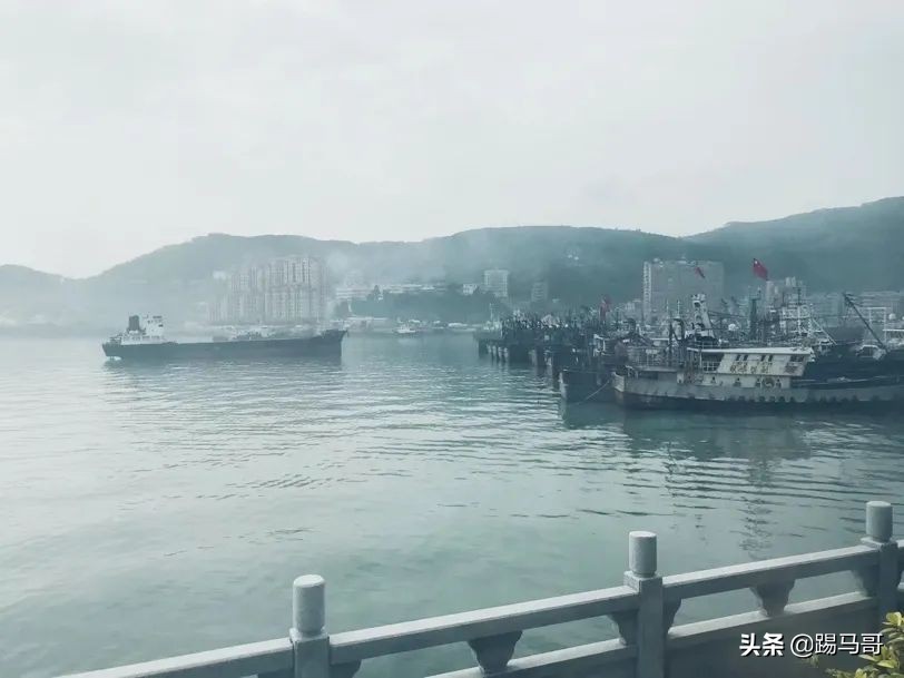 我向往的生活是什么样子短片,我向往的生活是怎么样的