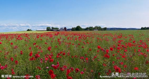 二年级看图写话写人篇技巧,二年级看图写话时间地点人物事件