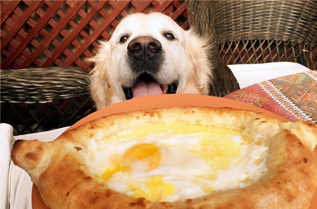 狗狗先拉干的再拉稀的什么原因,狗狗拉稀拉血是什么原因吃什么药