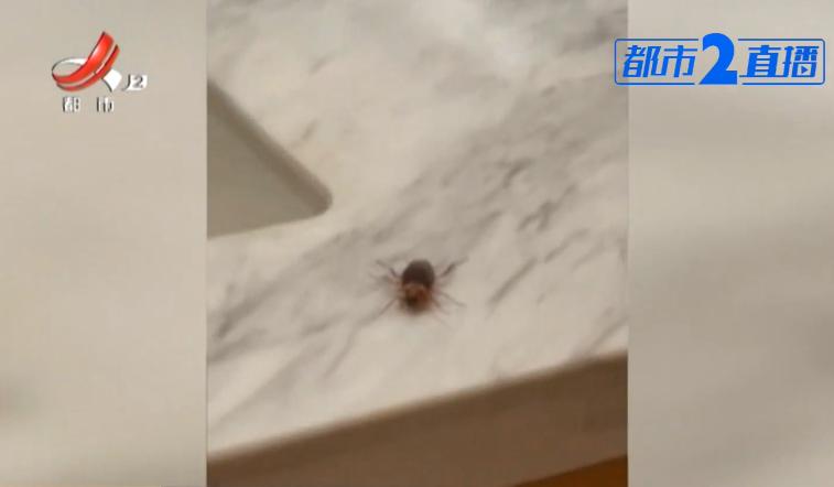 南昌凯美格兰云天大酒店怎么样,南昌凯美格兰云天国际酒店