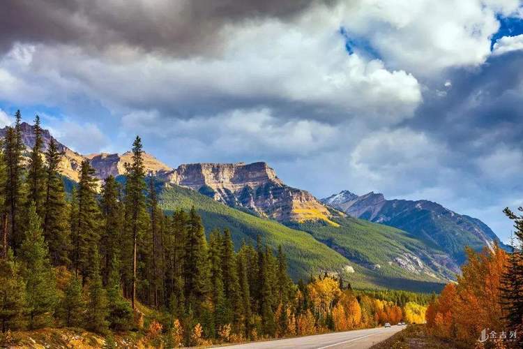 加拿大精算硕士,加拿大精算好就业吗