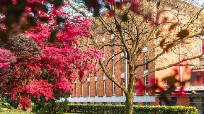 保研夏令营优秀营员就稳了吗,保研夏令营上岸