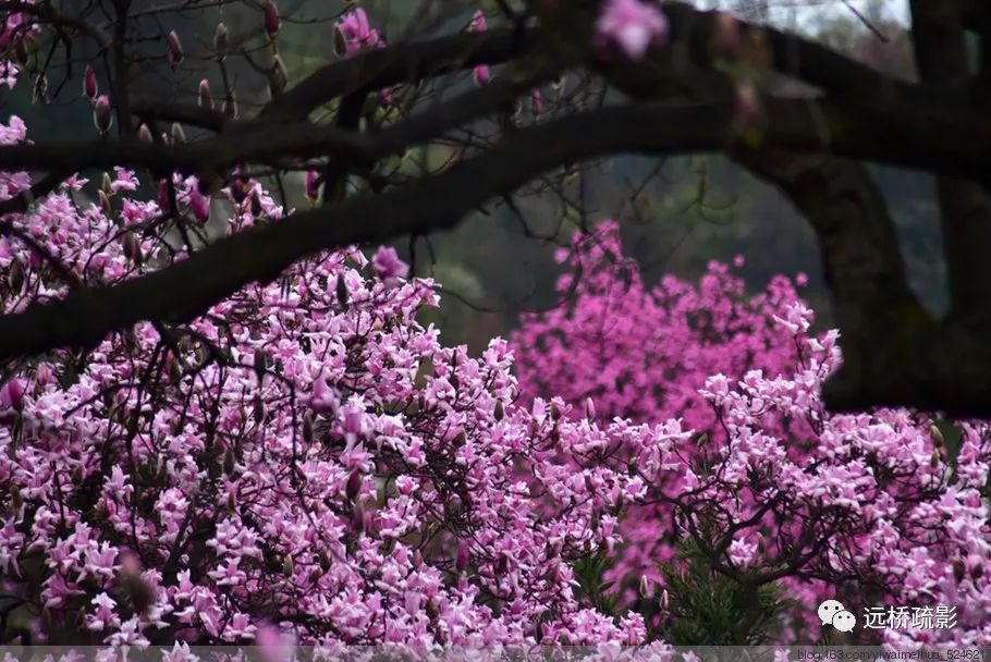 药王谷里觅旧迹（原图文）
