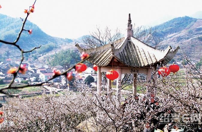 赏梅踏春最佳打卡地,现在附近公园赏梅哪里有