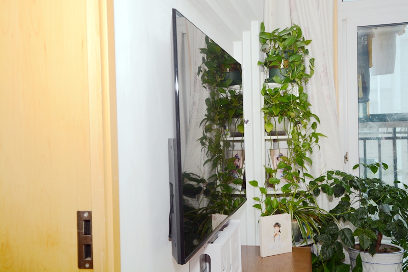 鸿鹄818芯片的智慧屏,鸿鹄818最强电视处理器