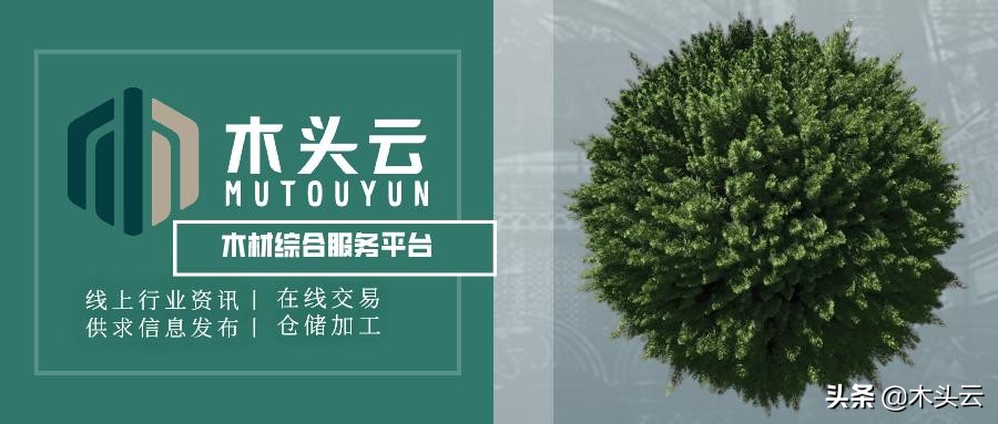 枫木滑板从街头走向奥运，地表最强木材了解一下