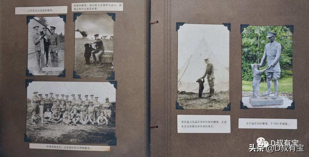 绘本分享：寻找维尼