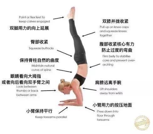 脾胃虚弱瑜伽调理,10个人9个脾虚