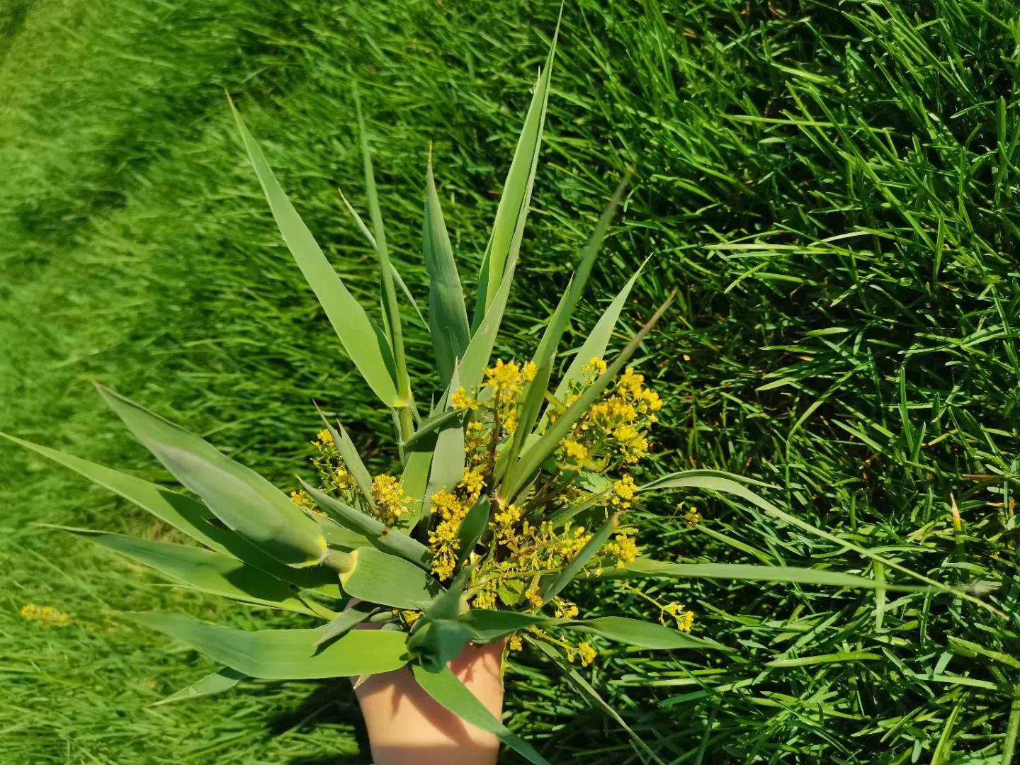 蹇靛垵鏃跺厜鍐滃満鐢佃瘽,蹇靛垵鏃跺厜浜插瓙鍐滃満