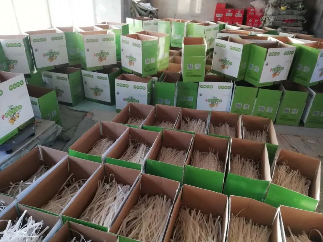 东北纯土豆粉条家常菜,干土豆粉条怎么泡