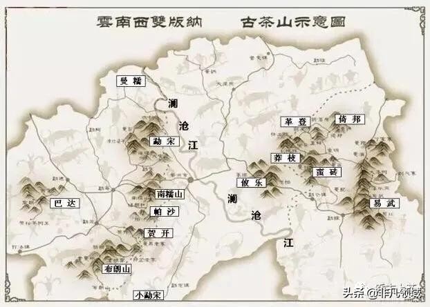 六大茶山什么茶叶最好,普洱茶古六大茶山特征